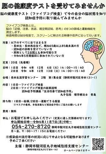 脳の健康度テスト（ファイブコグ検査）
